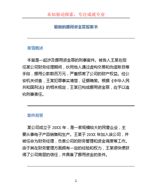 最新的挪用资金罪报案书