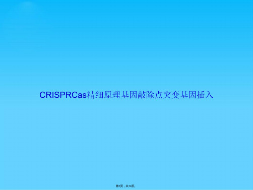 CRISPRCas精细原理基因敲除点突变基因插入(共14张PPT)