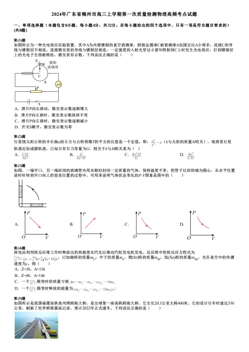 2024年广东省梅州市高三上学期第一次质量检测物理高频考点试题