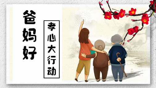 太平洋人寿爸妈好理念产品形态案例演示34页