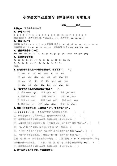 小学语文毕业总复习《拼音字词》专项复习