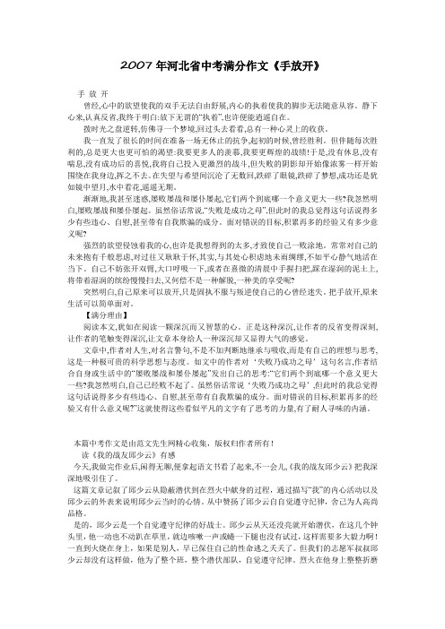 2007年河北省中考满分作文《手放开》