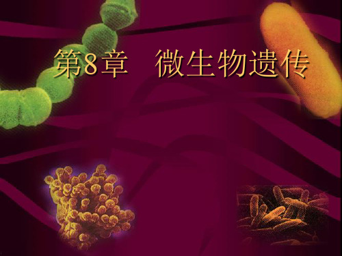 食品微生物学第八章 遗传