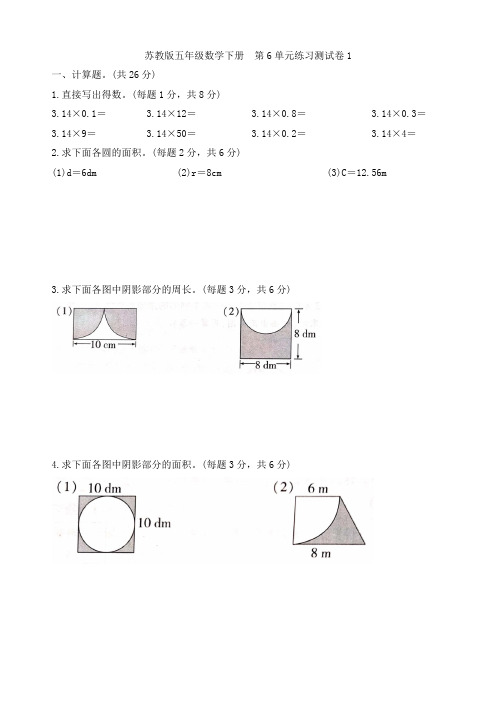 苏教版五年级数学下册   第6单元练习测试卷1