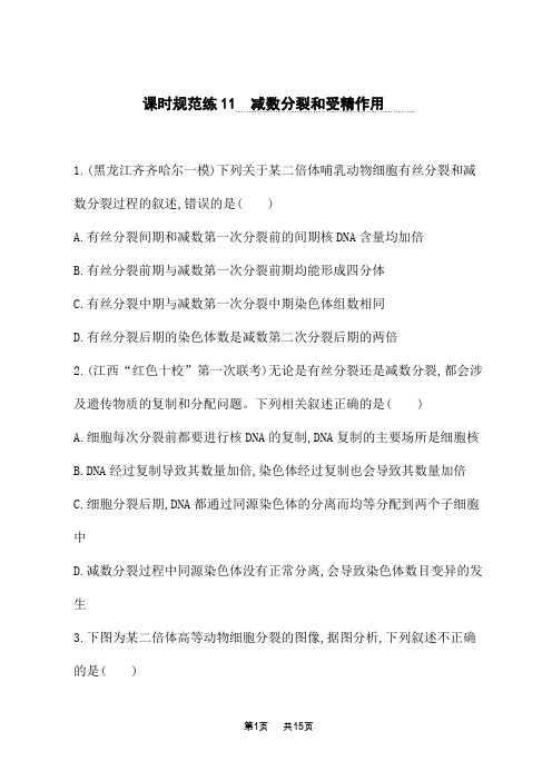 人教版高考生物学一轮总复习课后习题 第四单元 细胞的生命历程 减数分裂和受精作用 (2)