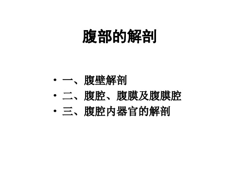 《动物局部解剖学》教学课件：腹壁及腹腔内脏解剖