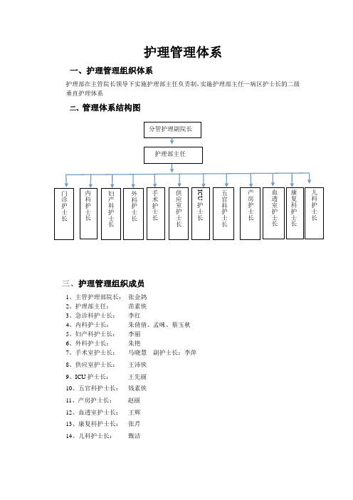 护理管理体系