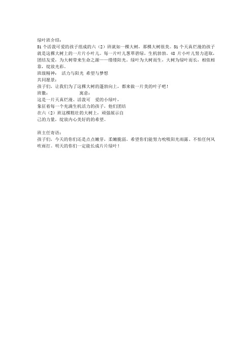 六(2)班级介绍