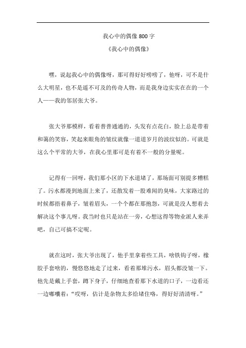 我心中的偶像800字