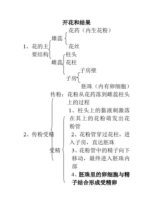 开花和结果