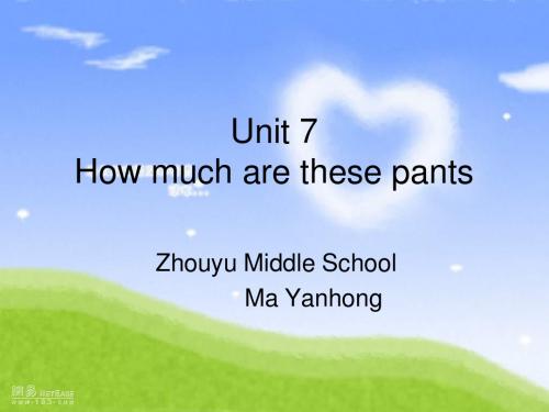 How-much-are-these-pantsUNit-7-Section-A新目标