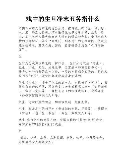 戏中的生旦净末丑各指什么