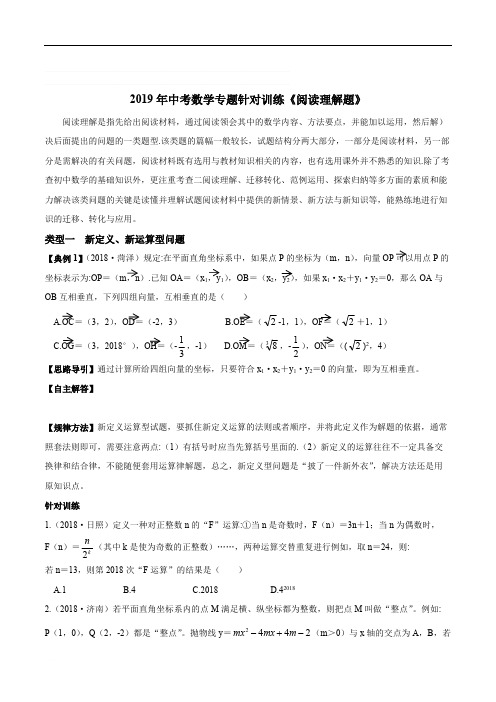 苏科版初三数学 2019年中考复习 专题针对训练《阅读理解题》含精品解析