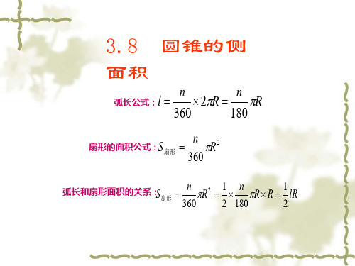 北师大版初三数学九年级下册课件、圆 3