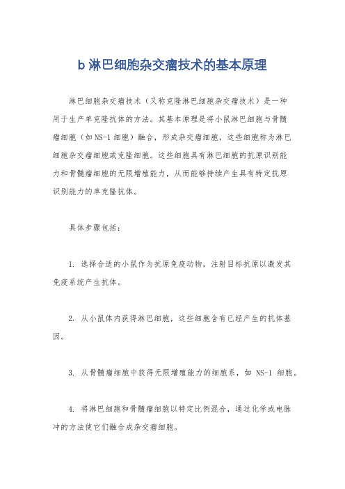 b淋巴细胞杂交瘤技术的基本原理