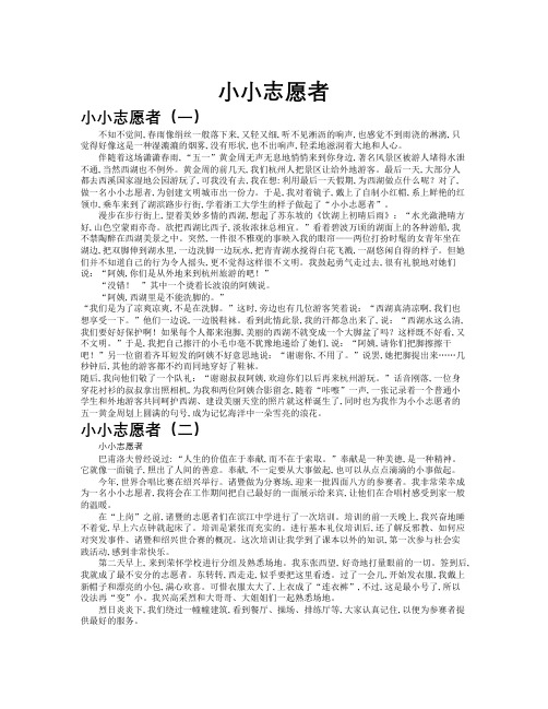 小小志愿者作文共九篇