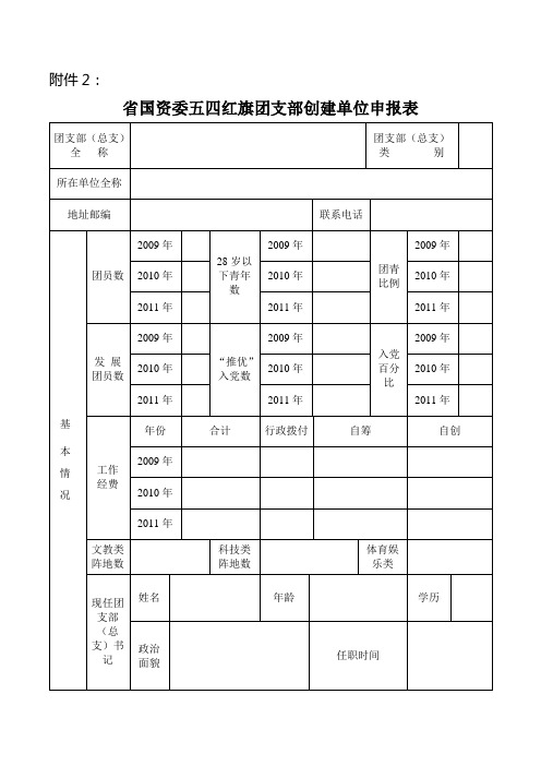 五四红旗团支部申报表