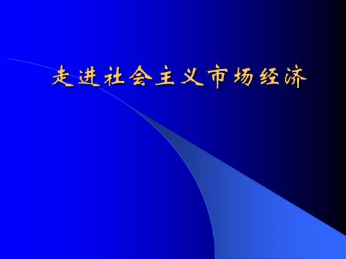 经济4.9走进社会主义市场经济