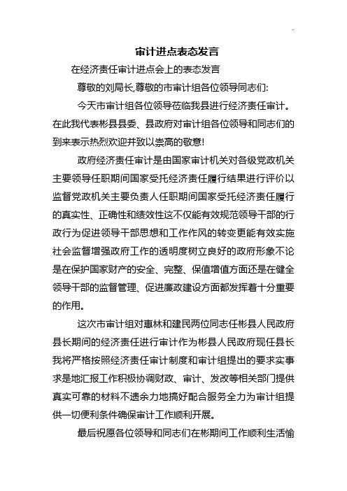 审计进点表态发言