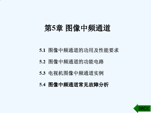 电视技术概论之图像中频通道