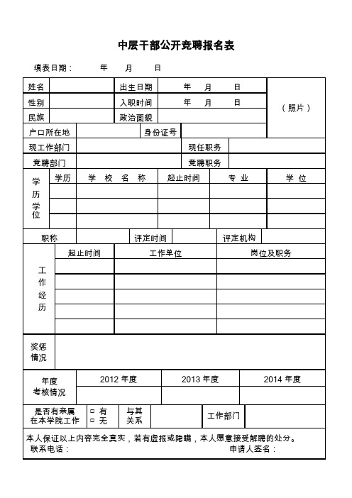 中层干部公开竞聘报名表