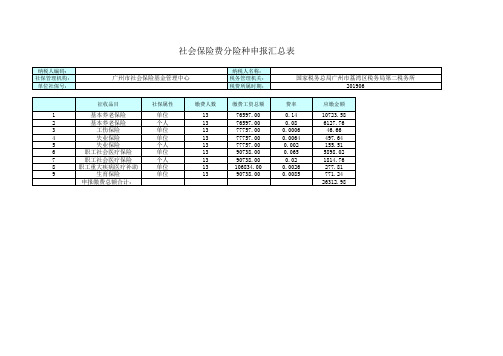 社会保险费分险种申报汇总表 模板