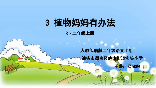 《3植物妈妈有办法》人教部编版 (共49张PPT)[优秀课件]