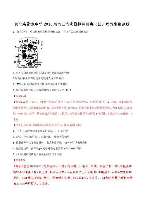 【全国百强校】河北省衡水中学2016届高三高考模拟调研卷(四)理综生物试题(解析版)