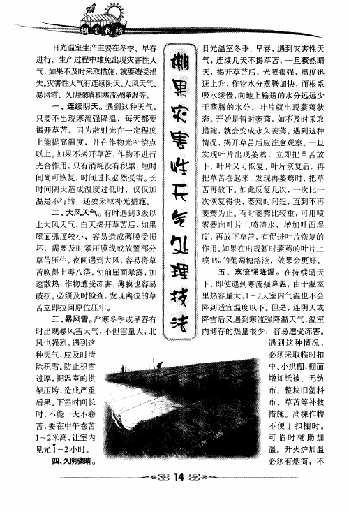 棚果灾害性天气处理技法