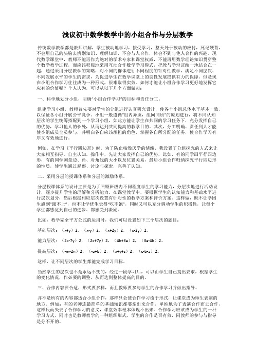 浅议初中数学教学中的小组合作与分层教学