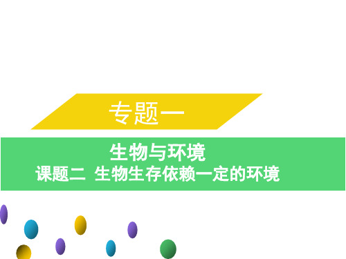 专题一课题二生物生存依赖一定的环境-课件-中考生物总复习