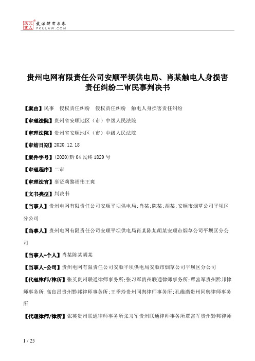 贵州电网有限责任公司安顺平坝供电局、肖某触电人身损害责任纠纷二审民事判决书