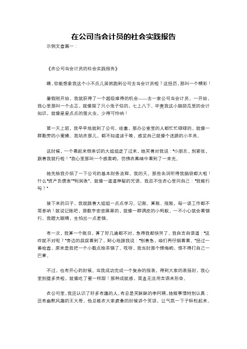 在公司当会计员的社会实践报告