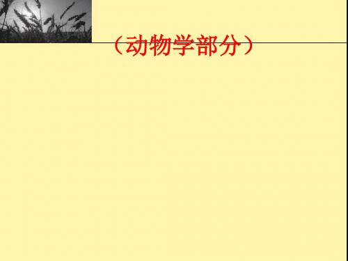 陕西省中学生物实验培训班——动物学部分PPT课件 人教版