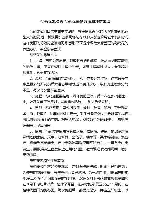 芍药花怎么养芍药花养殖方法和注意事项