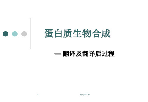 蛋白质生物合成—翻译及翻译后过程