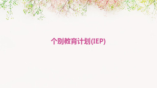 个别教育计划(IEP)