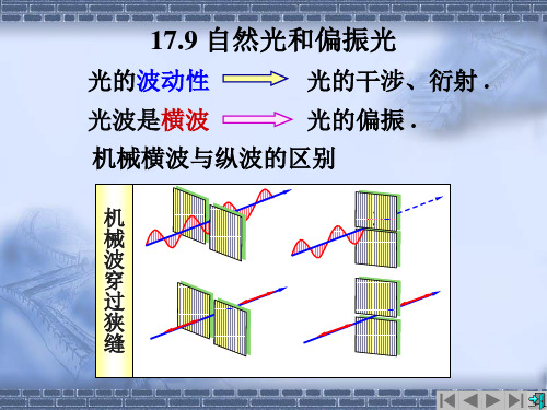 自然光和偏振光