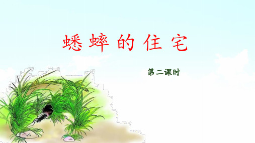 《蟋蟀的住宅》教学课件(第二课时)