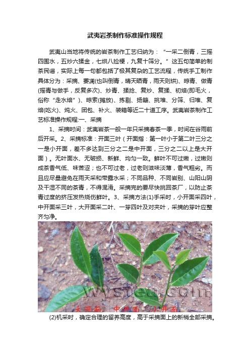 武夷岩茶制作标准操作规程