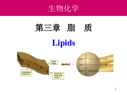 生物化学(高教第三版)第三章脂质