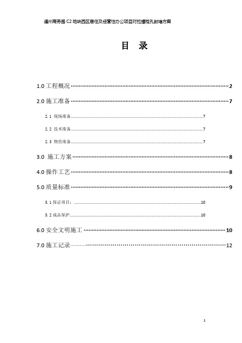 对拉螺栓孔封堵方案