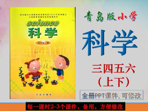 青岛版,小学,科学,四年级,上册,全册PPT课件,青岛出版社