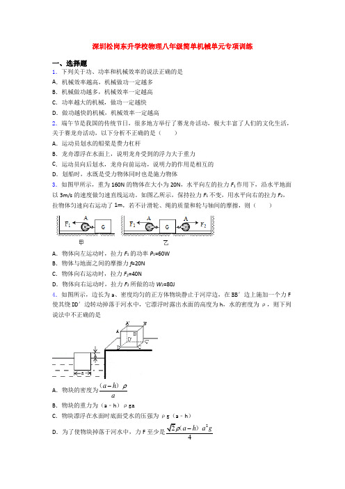 深圳松岗东升学校物理八年级简单机械单元专项训练