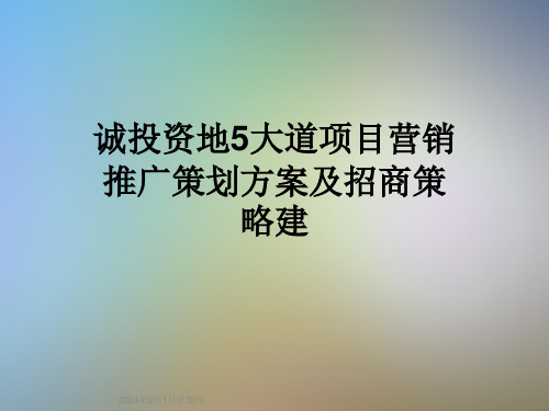 诚投资地5大道项目营销推广策划方案及招商策略建