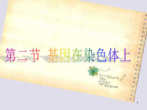 22基因在染色体上PPT课件