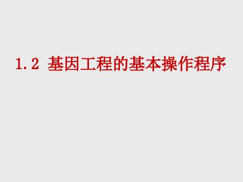 【高中生物】选修三 1.2 基因工程的基本操作程序