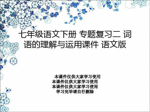 七年级语文下册 专题复习二 词语的理解与运用课件 语文版