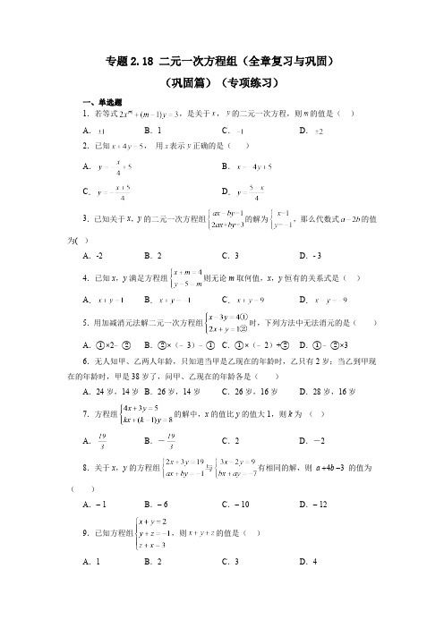 2.18 二元一次方程组-全章复习与巩固 浙教版数学七年级下册基础知识讲与练巩固篇(含答案)