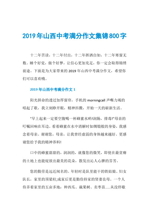 2019年山西中考满分作文集锦800字